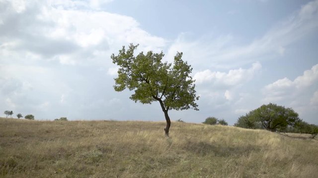 Moldavian green hills near Codru. Codrii is a big forest in the middle of Moldova