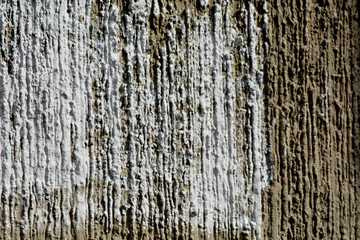 cement texture background. wall texture