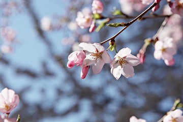한국 인천시 남동구 인천대공원 입니다