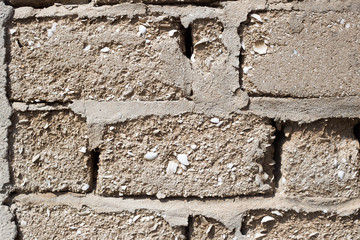 Alte Mauer mit Korallen