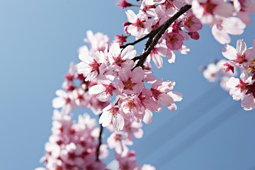 한국 인천시 남동구 인천대공원 입니다