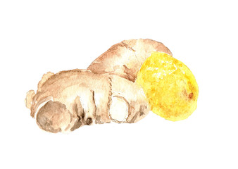 watercolor food lemon and ginger isolated