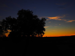 Encina frente a un atardecer azul y anaranjado.