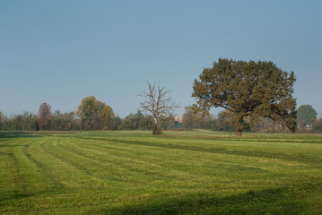 Fototapeta na wymiar paesaggio di campagna in autunno