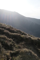 Trekking on the Rocciamelone