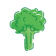 Broccoli. Vector illustration of a tasty vegetable in flat and line-art style for print, banner or postcard.