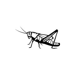 grasshopper icon