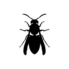 wasp silhouette