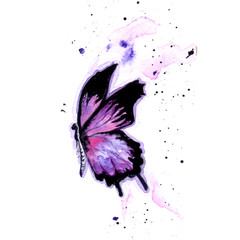 watercolor lilac butterfly with spread wings in flight