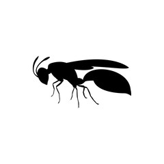 wasp silhouette