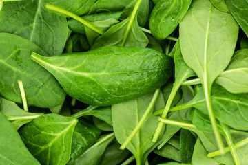 Portion of fresh Spinach (close-up shot)