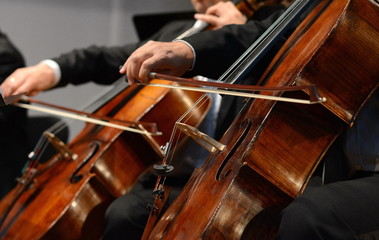 Symphony orchestra on stage, hands playing cello. Professional cello player's hands close up, he is performing with string section of the symphony orchestra - obrazy, fototapety, plakaty