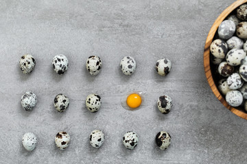 Many quail eggs on gray concrete cement background. One egg broken, orange yolk and protein. Easter cooking concept.