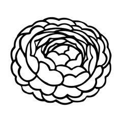 BLOOMING CAMELLIA IN THE VECTOR