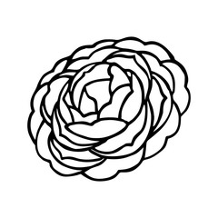 BLOOMING CAMELLIA IN THE VECTOR