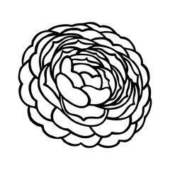 BLOOMING CAMELLIA IN THE VECTOR