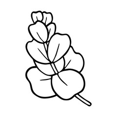 Obraz premium EUCALYPTUS IN THE VECTOR