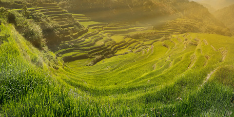 sunset in the rice field terraces in the area of banaue,in Philippines 