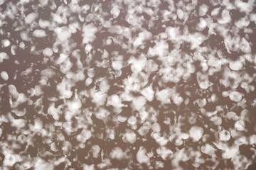 white marble texture background