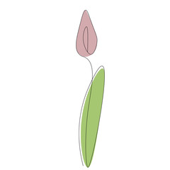 Summer flower on white background. Vector illustration
