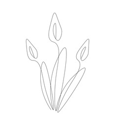 Summer flowers on white background. Vector illustration