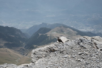 Trekking on the Rocciamelone