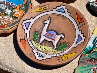 Naklejka premium Assiette représentant un guanaco