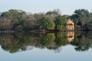 Fototapeta na wymiar ranthambore landscape and scenery of hunting palace with reflection in calm water of rajbagh lake at ranhambore national park and tiger reserve, sawai modhopur, india