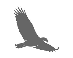 Eagle Logo Design Vector Template