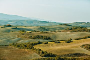 Landscape of Tuscany in the evening light
