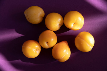 Several fresh yellow plums under the sun