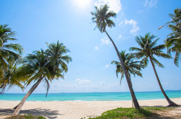 Fototapeta na wymiar Many coconut palms on the beach Background sea and sky at Cabana Beach , Chumphon , Thailand.