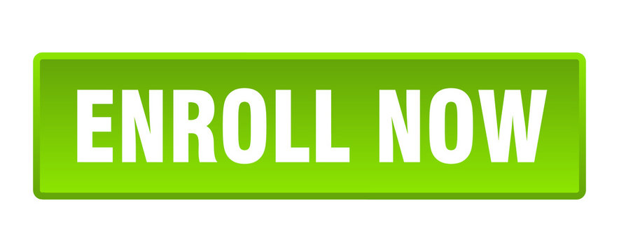 enroll now button. enroll now square green push button
