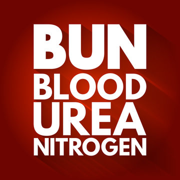 BUN - Blood Urea Nitrogen acronym, medical concept background