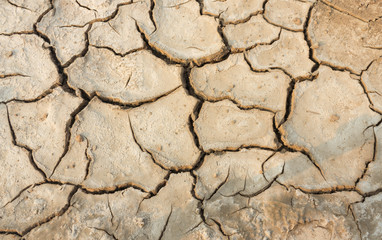 Cracked ground