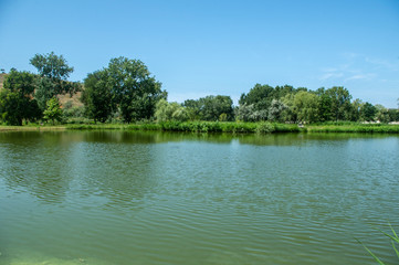 lake in the forest