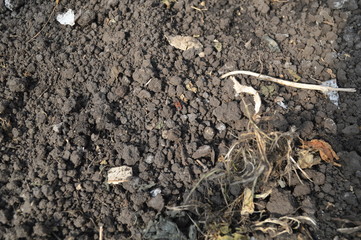 the soil is ready for planting seeds