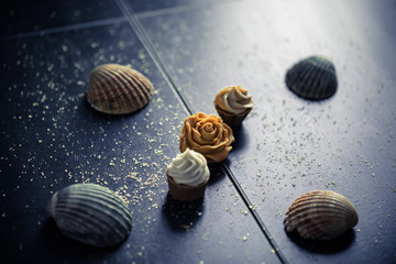 a set of snails on a black background