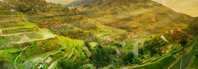sunset in the rice field terraces in the area of banaue,in Philippines 
