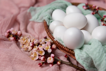 eggs in a wicker plate decorated with a flowering twig. eggs on a pink background