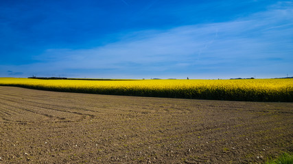 Trois couleurs