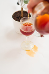 White background, flower in pot, strong black natural coffee in glassware prepared by alternative method from arabica beans.