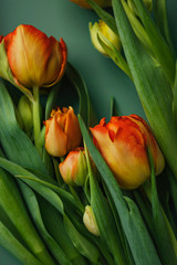 Spring season with pastel tulips