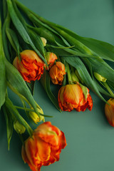 Spring moments with flowers composition