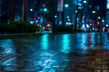 雨の歩道【福岡県北九州市】