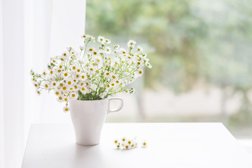 Bouquet of gentle camomile in white cup. Morning light in the room. Soft home decor,  vase with white flowers on  white wall background and on wooden table. Interior. Greeting card. Copy space.