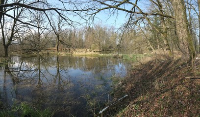 Fototapeta premium Am Ufer eines Moorsees