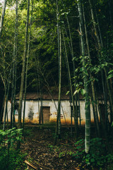 Fototapeta na wymiar Old house inside the bamboo forest