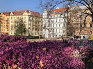 Obraz premium Riegrovy Sady Park in Prague