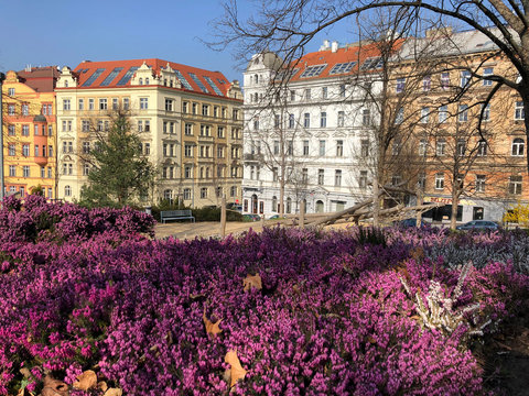 Riegrovy Sady Park in Prague